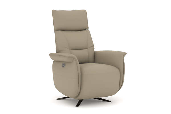 Ramsey - Charles David - Fauteuil inclinable électrique