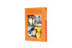 Livre Capri Dolce Vita de Cesare Cunaccia